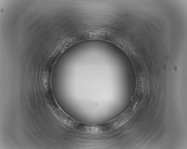 X0000085270698200703161430