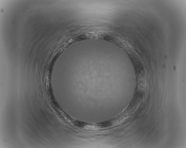 X0000085270699200703161430