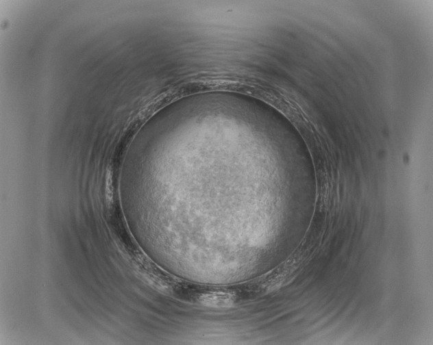 X0000085270700200703161430