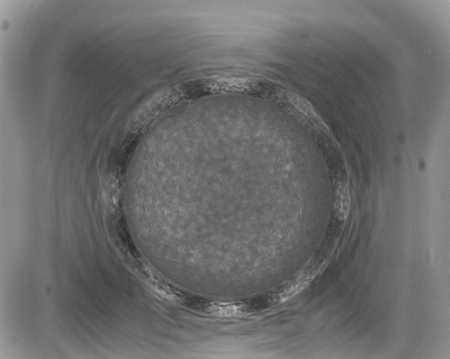 X0000085270701200703161430