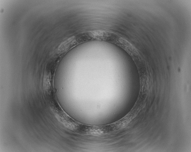 X0000085270702200703161430