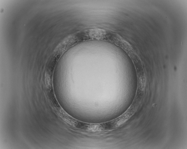 X0000085270705200703161430