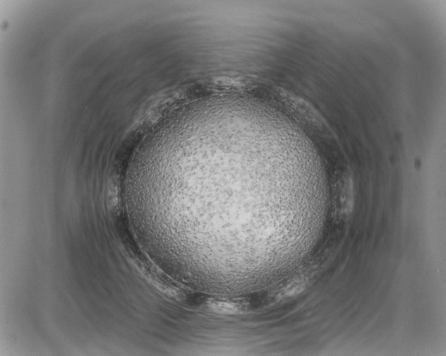 X0000085270706200703161430