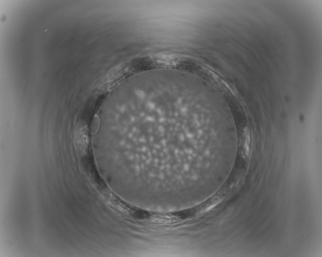 X0000085270707200703161430