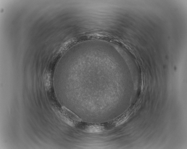 X0000085270708200703161430