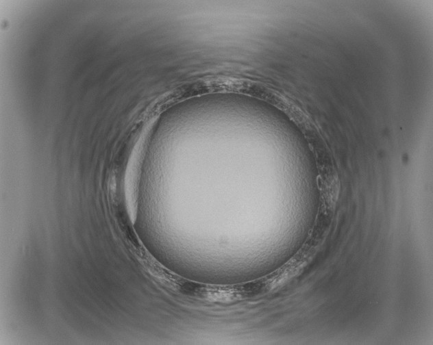 X0000085270709200703161430