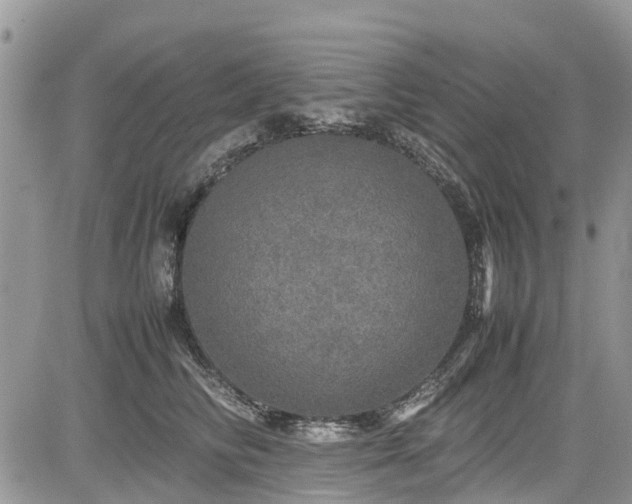 X0000085270710200703161430