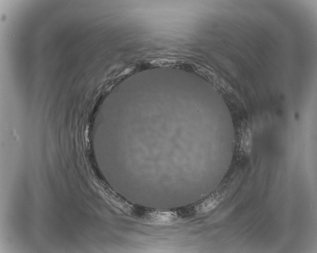 X0000085270711200703161430