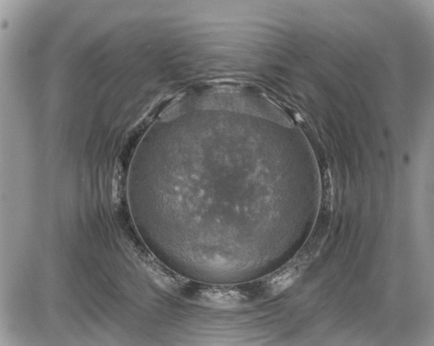 X0000085270712200703161430