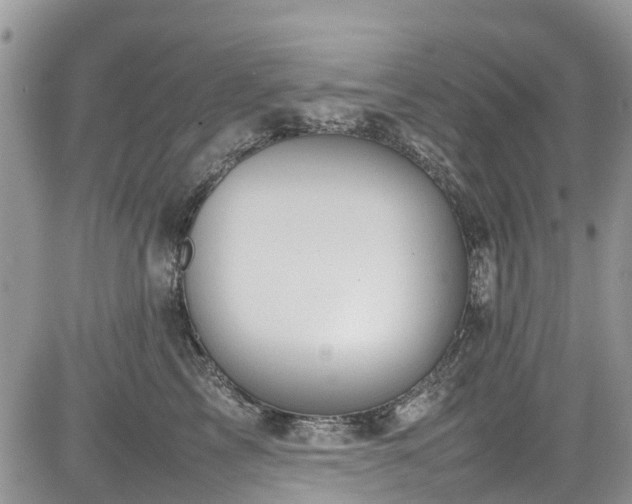 X0000085270713200703161430