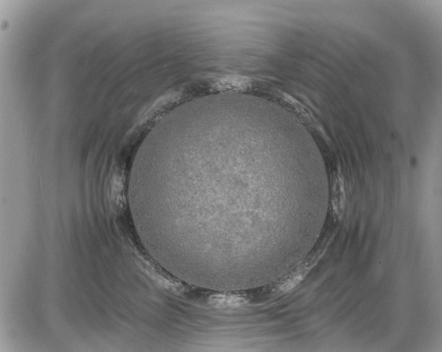 X0000085270714200703161430