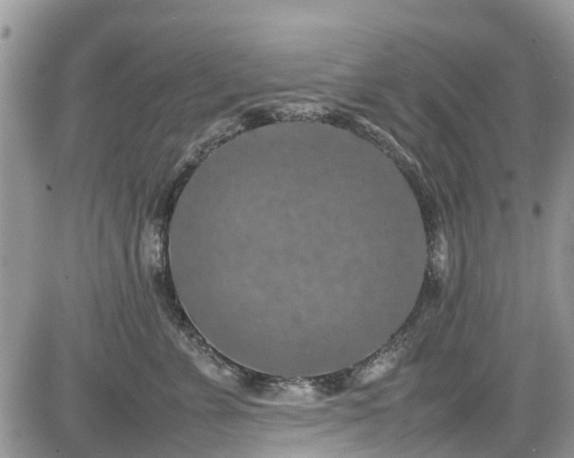 X0000085270715200703161430