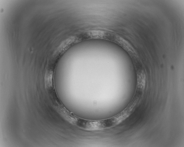 X0000085270717200703161430