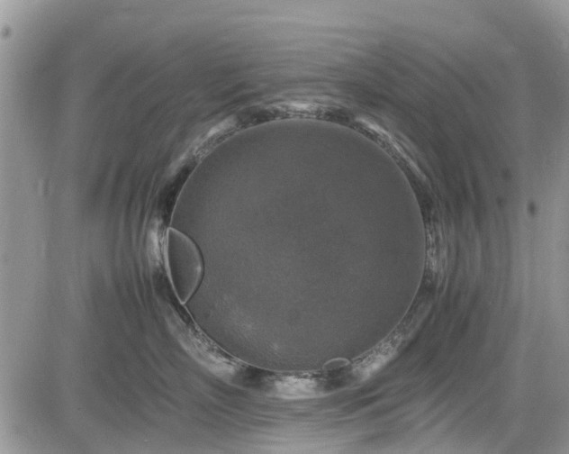 X0000085270718200703161430