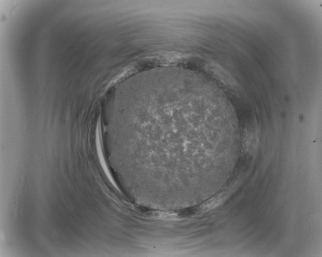 X0000085270719200703161430