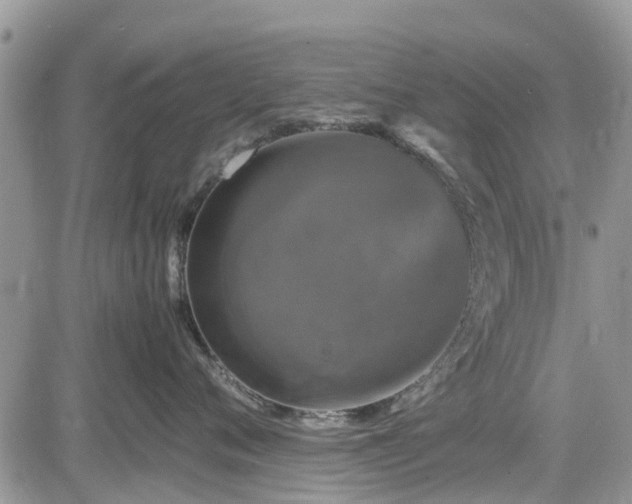 X0000085270720200703161429