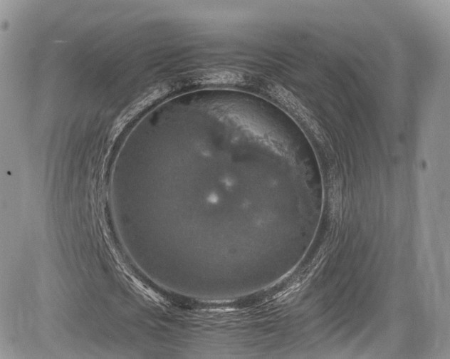 X0000085270721200703161429