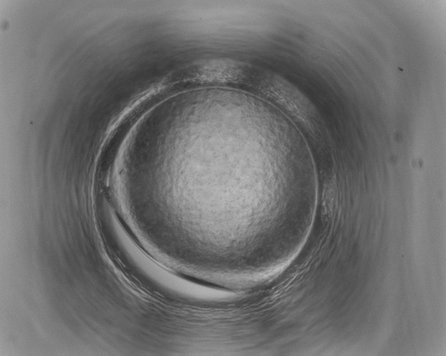 X0000085270722200703161429