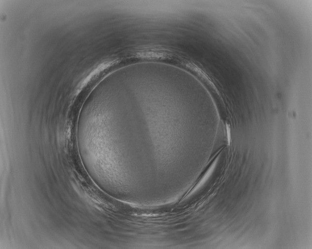 X0000085270723200703161429