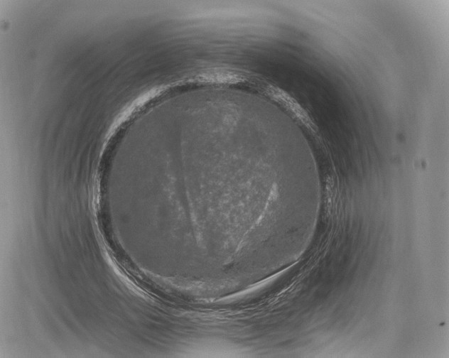 X0000085270726200703161429