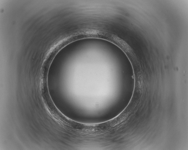 X0000085270728200703161429