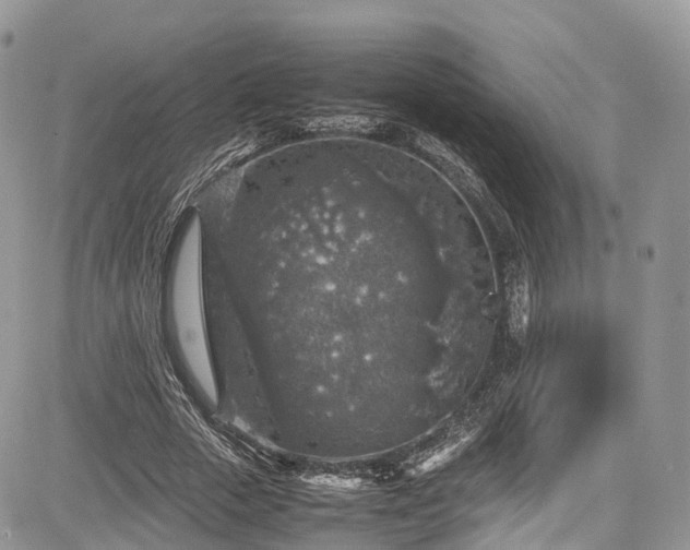 X0000085270729200703161429