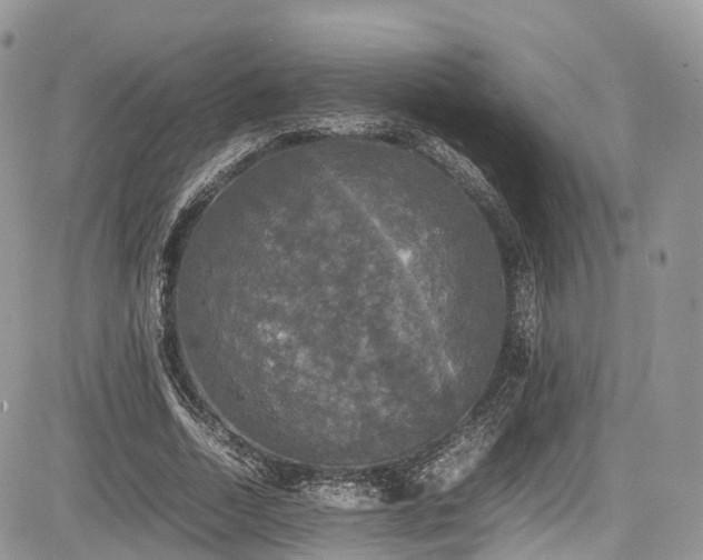 X0000085270730200703161429