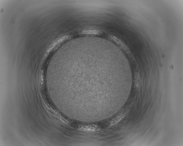 X0000085270731200703161429