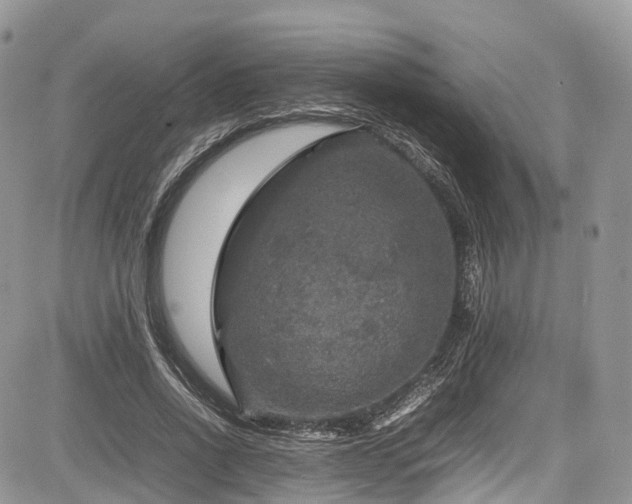 X0000085270734200703161429