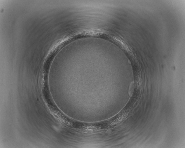 X0000085270736200703161429