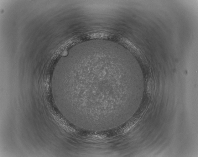 X0000085270737200703161429