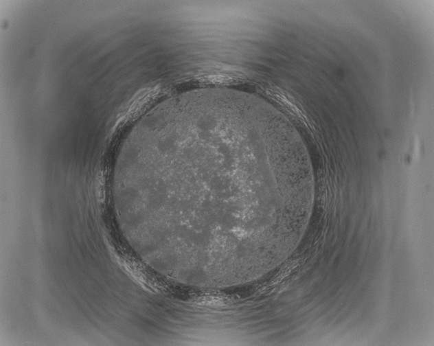 X0000085270738200703161429