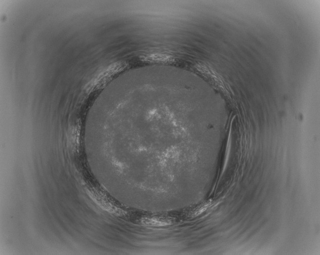 X0000085270739200703161429