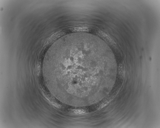 X0000085270741200703161429