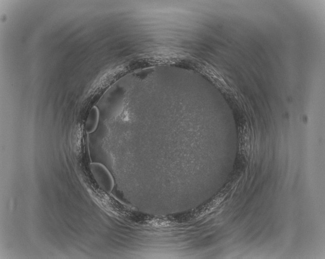 X0000085270742200703161429