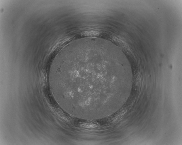 X0000085270743200703161429