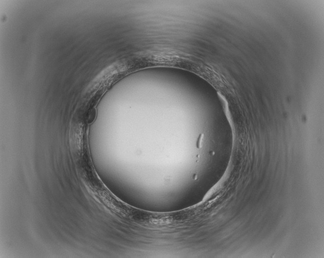 X0000085270744200703161429