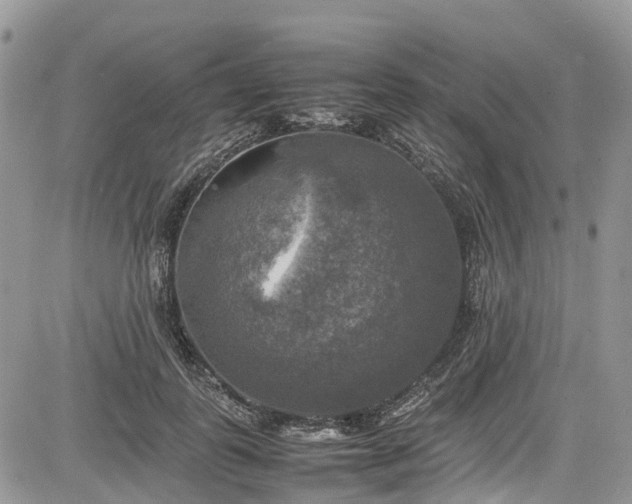 X0000085270747200703161429