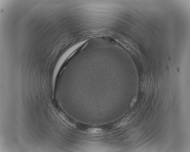 X0000085270748200703161429