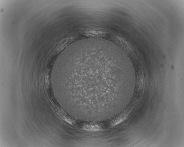 X0000085270749200703161429