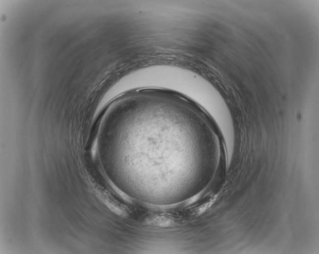 X0000085270750200703161429