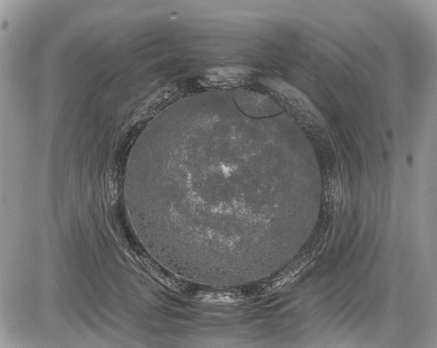 X0000085270751200703161429