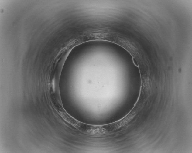 X0000085270752200703161429