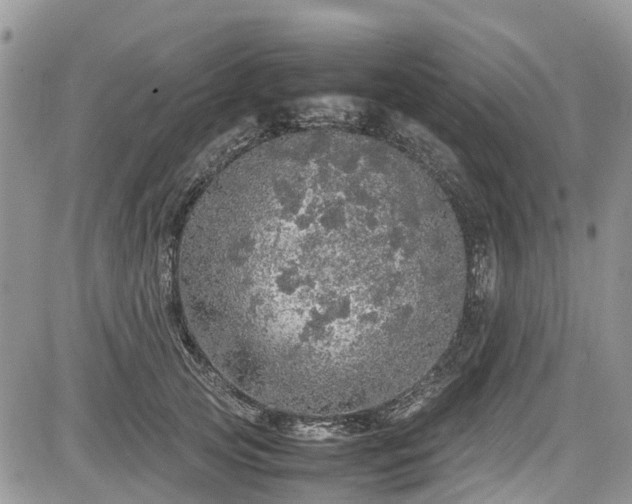 X0000085270753200703161429