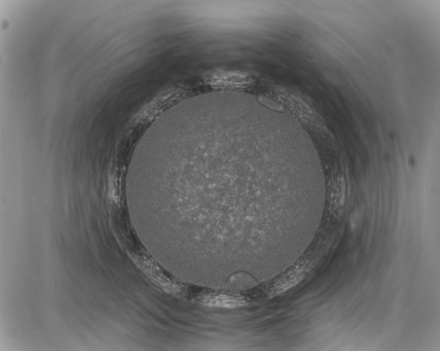 X0000085270755200703161429