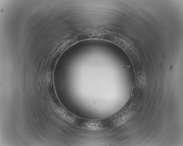 X0000085270756200703161429