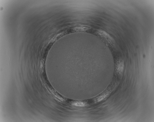 X0000085270759200703161429