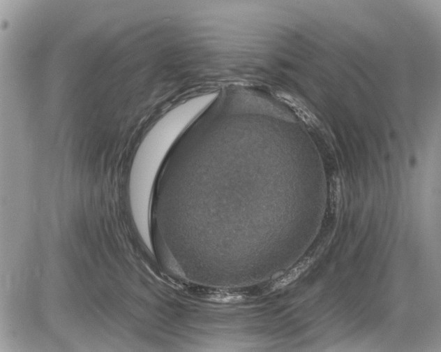 X0000085270760200703161429