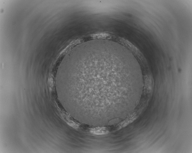 X0000085270761200703161429