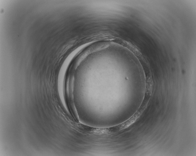 X0000085270762200703161429